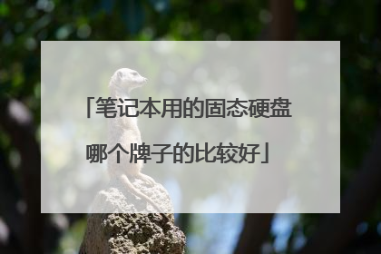 笔记本用的固态硬盘哪个牌子的比较好