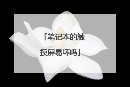 笔记本的触摸屏易坏吗