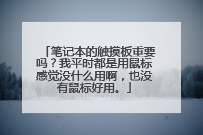 笔记本的触摸板重要吗?我平时都是用鼠标感觉没什么用啊,也没有鼠标好用。