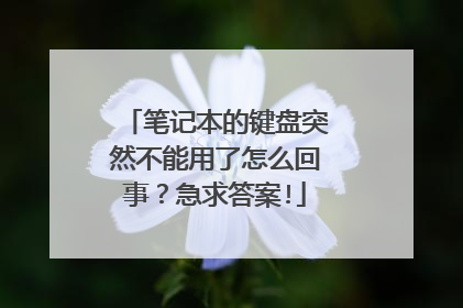 笔记本的键盘突然不能用了怎么回事？急求答案!