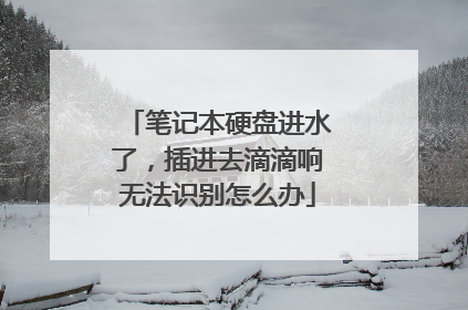 笔记本硬盘进水了,插进去滴滴响无法识别怎么办