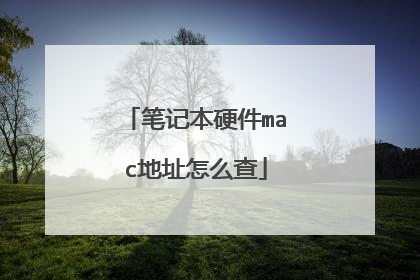 笔记本硬件mac地址怎么查