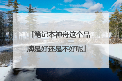 笔记本神舟这个品牌是好还是不好呢