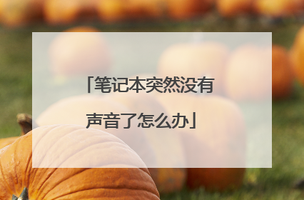 笔记本突然没有声音了怎么办