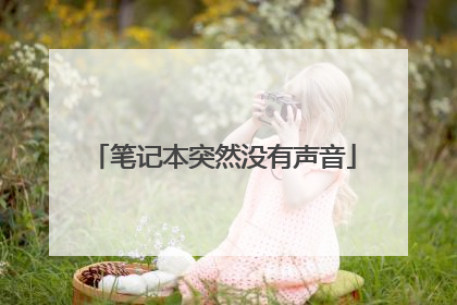 笔记本突然没有声音