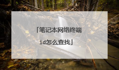 笔记本网络终端id怎么查找