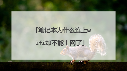 笔记本为什么连上wifi却不能上网了