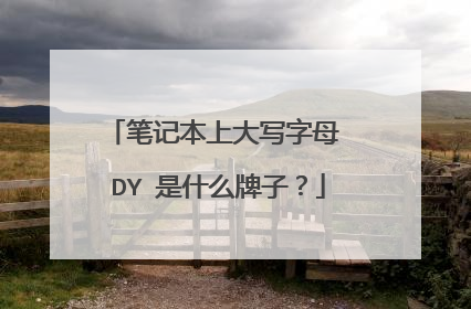 笔记本上大写字母 DY 是什么牌子?