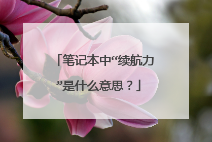 笔记本中“续航力”是什么意思?
