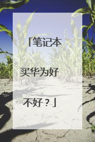 笔记本买华为好不好?