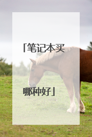笔记本买哪种好