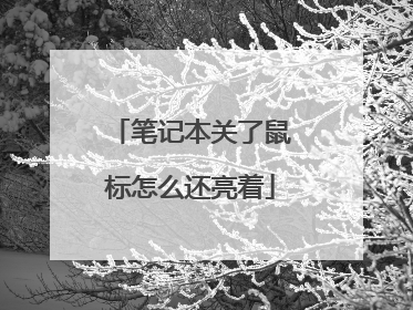 笔记本关了鼠标怎么还亮着