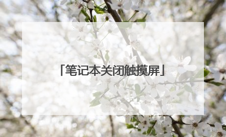 笔记本关闭触摸屏