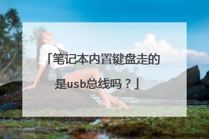 笔记本内置键盘走的是usb总线吗？