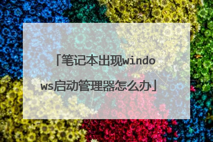 笔记本出现windows启动管理器怎么办