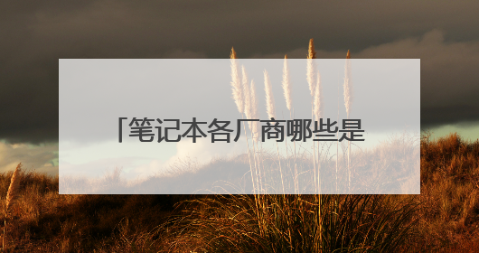 笔记本各厂商哪些是代工,哪些是自己生产的?所有品牌都要