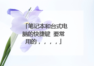 笔记本和台式电脑的快捷键 要常用的,,,,