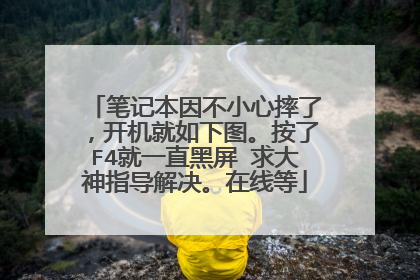 笔记本因不小心摔了,开机就如下图。按了F4就一直黑屏 求大神指导解决。在线等