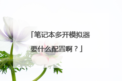 笔记本多开模拟器要什么配置啊?