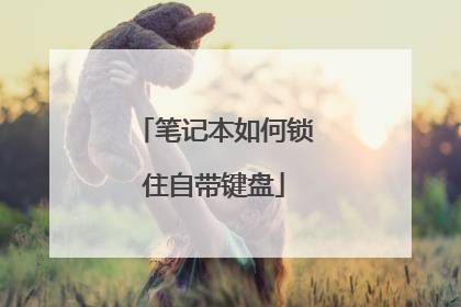 笔记本如何锁住自带键盘