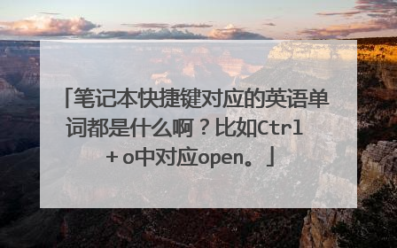 笔记本快捷键对应的英语单词都是什么啊？比如Ctrl＋o中对应open。