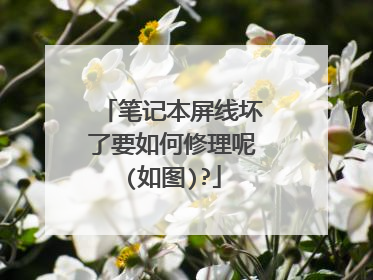 笔记本屏线坏了要如何修理呢(如图)?