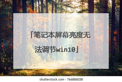 笔记本屏幕亮度无法调节win10