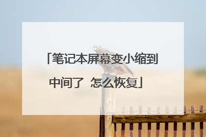 笔记本屏幕变小缩到中间了 怎么恢复
