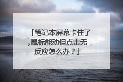 笔记本屏幕卡住了,鼠标能动但点击无反应怎么办？