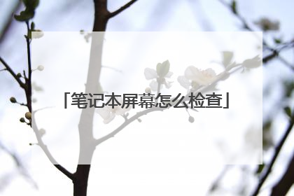 笔记本屏幕怎么检查