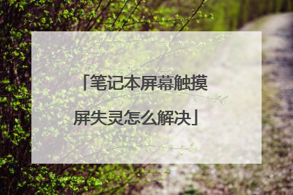 笔记本屏幕触摸屏失灵怎么解决