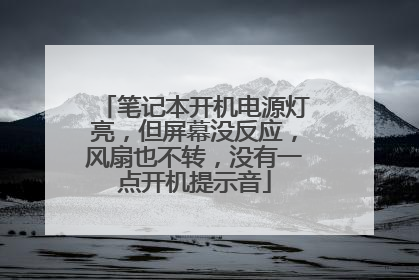 笔记本开机电源灯亮,但屏幕没反应,风扇也不转,没有一点开机提示音