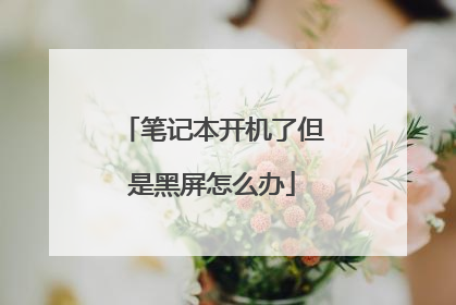 笔记本开机了但是黑屏怎么办