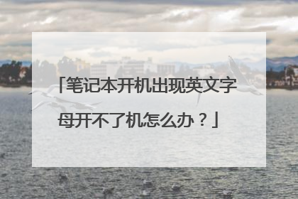 笔记本开机出现英文字母开不了机怎么办?