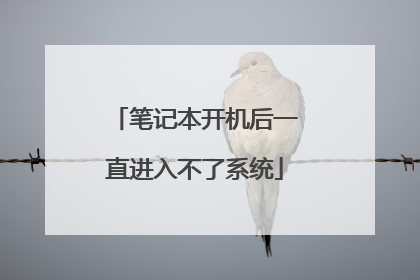 笔记本开机后一直进入不了系统