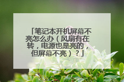 笔记本开机屏幕不亮怎么办(风扇有在转,电源也是亮的,但屏幕不亮)?