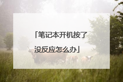 笔记本开机按了没反应怎么办