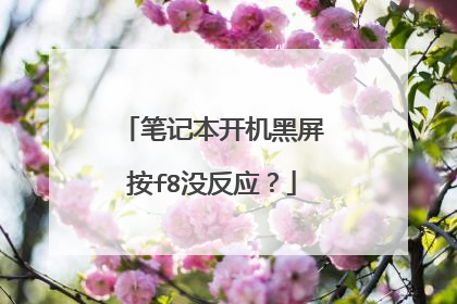 笔记本开机黑屏按f8没反应？