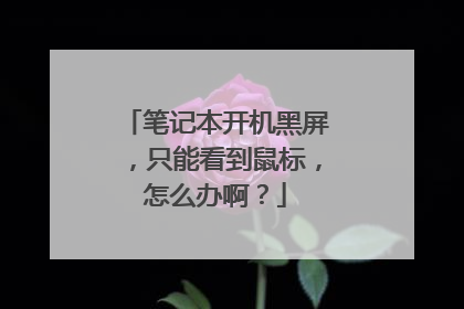 笔记本开机黑屏,只能看到鼠标,怎么办啊?