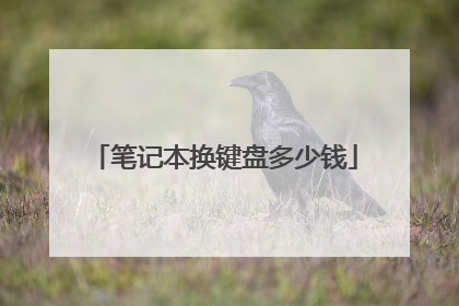 笔记本换键盘多少钱