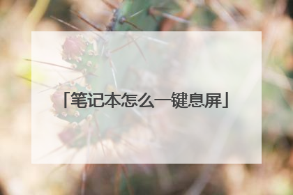 笔记本怎么一键息屏