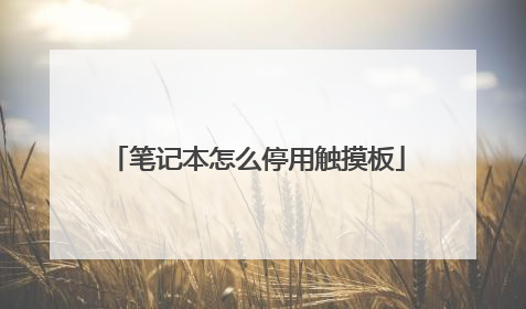 笔记本怎么停用触摸板