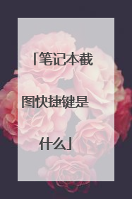 笔记本截图快捷键是什么