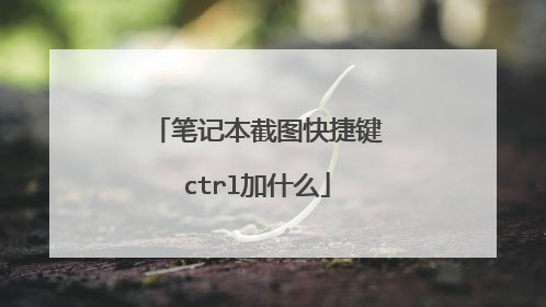 笔记本截图快捷键ctrl加什么