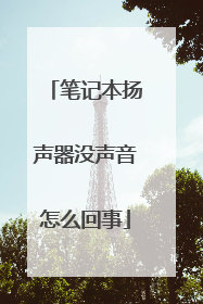 笔记本扬声器没声音怎么回事