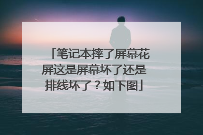笔记本摔了屏幕花屏这是屏幕坏了还是排线坏了?如下图