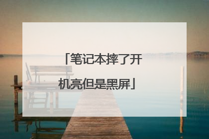 笔记本摔了开机亮但是黑屏