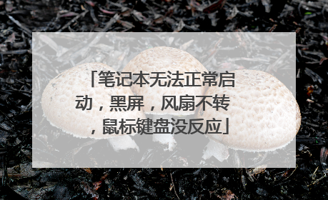 笔记本无法正常启动,黑屏,风扇不转,鼠标键盘没反应