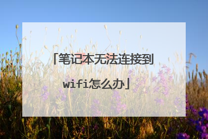 笔记本无法连接到wifi怎么办