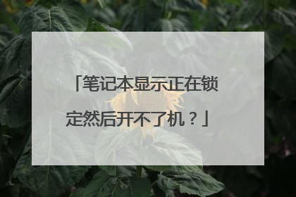 笔记本显示正在锁定然后开不了机？
